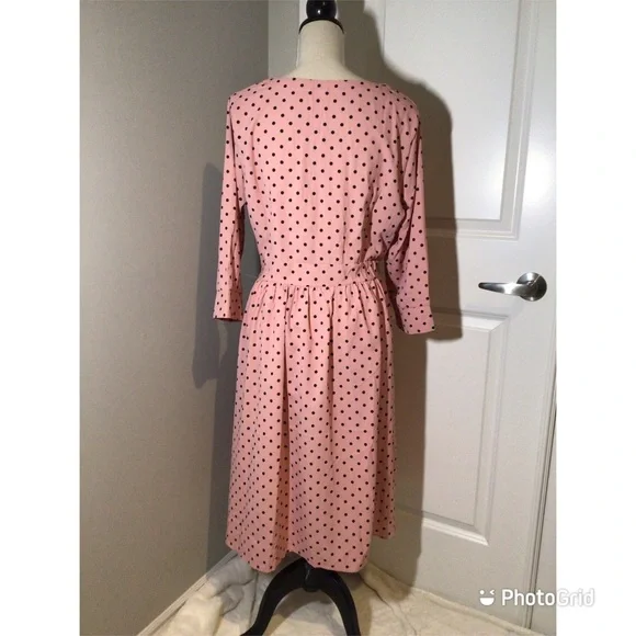 Pink Polka Dot Button-Up Fit & Flare Dress - NWOT - Picture 5 of 9